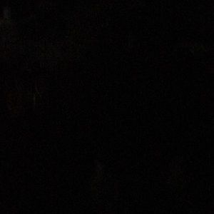 Meet your Posher, Tashana